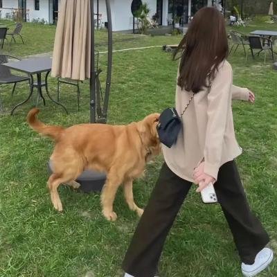 消失的豪门妻