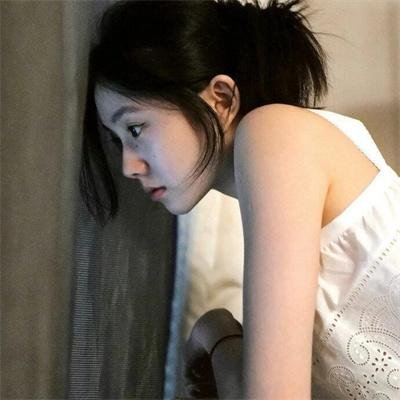 与鲨鱼游弋